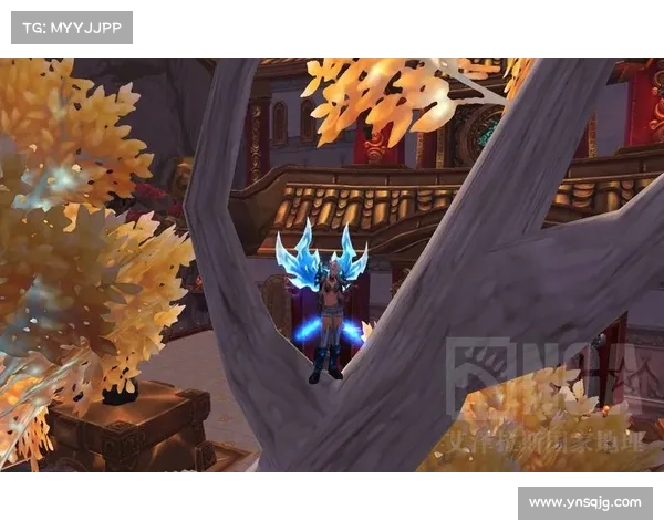 魔兽世界前锋胸甲设计演变的十个关键阶段与趋势分析 魔兽世界前锋胸甲设计演变的十个关键阶段与趋势分析