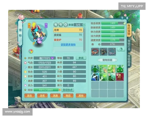 最强宠物加点方案解析助你轻松提升战力打造最强宠物配置技巧