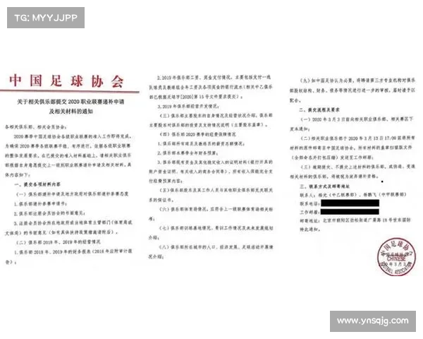 揭开波尔蒂足球俱乐部真实面貌的深度调查报告全方位独家解析纪实