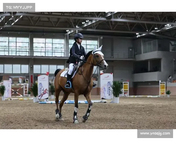 如何系统训练骑手以备战上海马术比赛提升竞技水平