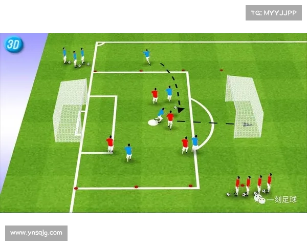 如何通过科学方法与实战训练全面提升年轻球员的潜力与技能